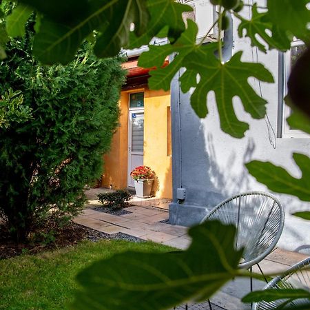 Dulcineea Downtown Garden Studio Timişoara Exterior foto